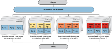 Tranception: protein fitness prediction with autoregressive transformers and inference-time retrieval
