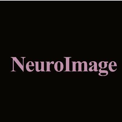 Mixtures of large-scale dynamic functional brain network modes