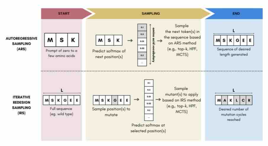 Sampling Protein Language Models for Functional Protein Design